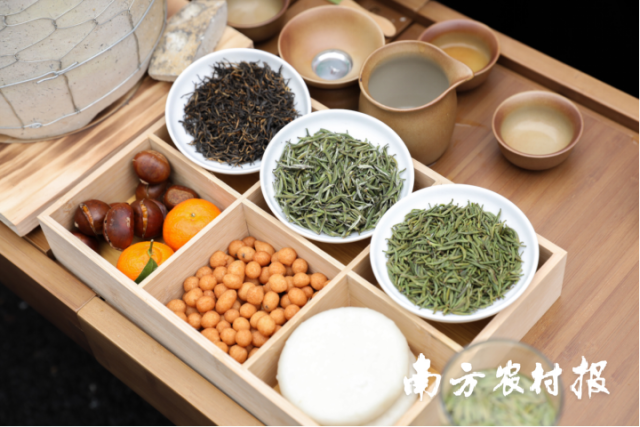 三江全力打造以“三江早春茶”为代表的广西春茶品牌。