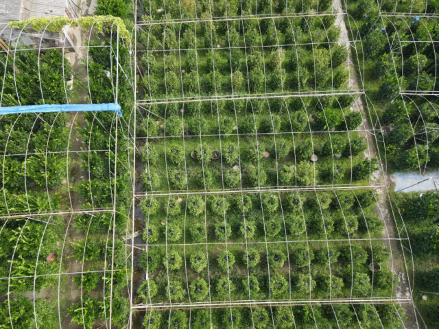 保险公司利用航拍技术定损