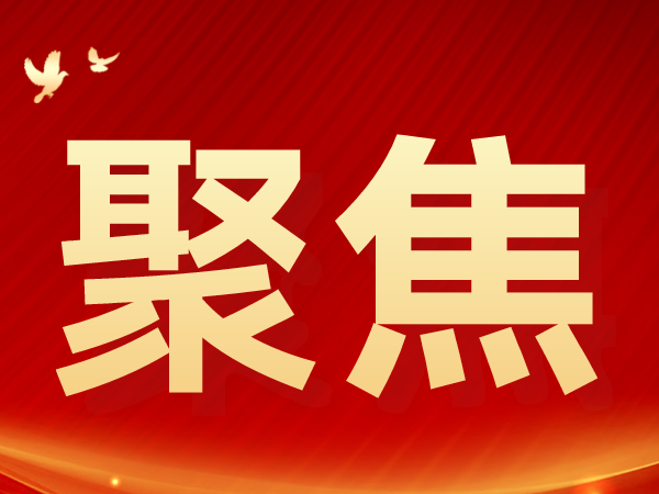 佛山两会把脉高质量发展，佛中医代表委员聚焦民生献良策