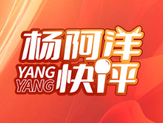 “一把手”,多面手丨杨阿洋快评