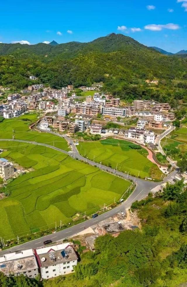 青山环抱的美丽黄花村。