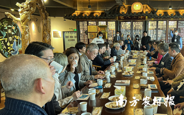 粤港澳大湾区医疗专业考察团品鉴新会陈皮。