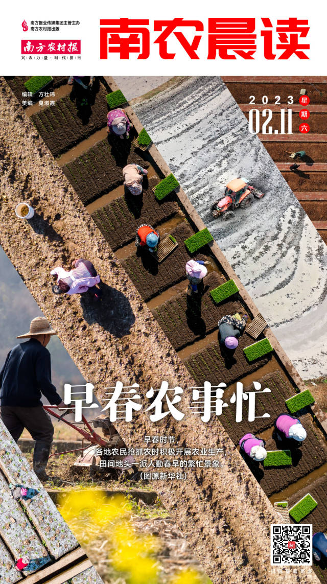 南方农村报 樊静东 制图