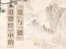 在+听讲 | 关于广州商人、家庭养育、化石传奇、女王的葬礼等