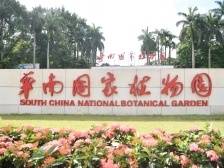 华南国家植物园任海：将岭南特色植物打造为享誉世界的广东品牌