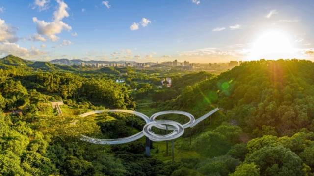 南方观察 | 山海城，更深圳