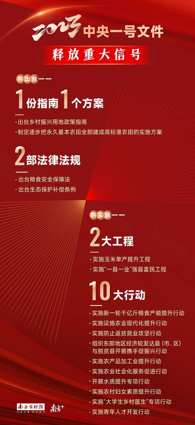 一号文件释放重大信号：将出台2部法律法规、实施10大行动