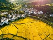 百县千镇万村高质量发展工程