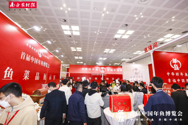 何海明:年鱼品牌战略推动渔业高质量发展