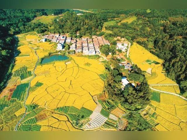 “百千万工程”破解广东城乡区域发展不平衡