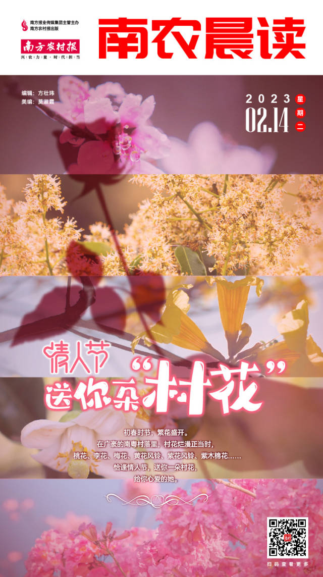 南方农村报 樊静东 制图