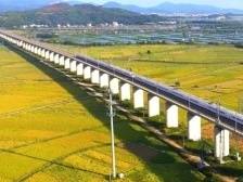 广东：支持各县做大做强1-2个特色优势产业集群| 聚焦“百千万工程”