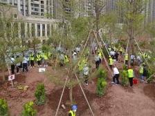 绿美荔湾，从春天出发！