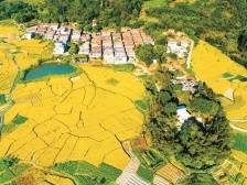 “百千万工程”破解广东城乡区域发展不平衡