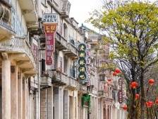 广东：激发县域经济活力，全面推进乡村振兴