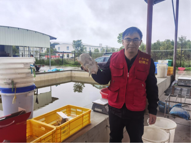 鄉(xiāng)土專家黃啟成工作室高級(jí)工程師黃啟成分享中華鱉挑公單性養(yǎng)殖技術(shù)