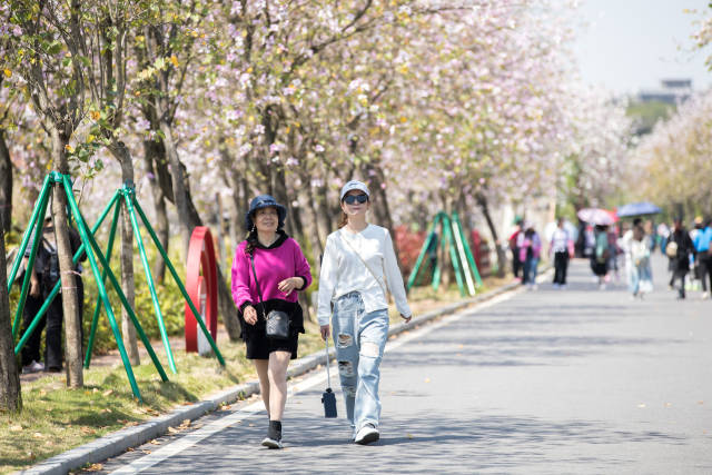 海珠湿地也是一处深受广州市民喜爱的公园