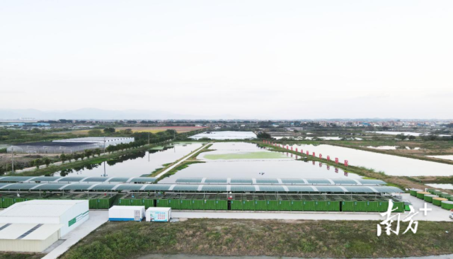 肇庆鼎湖区水产产业园。