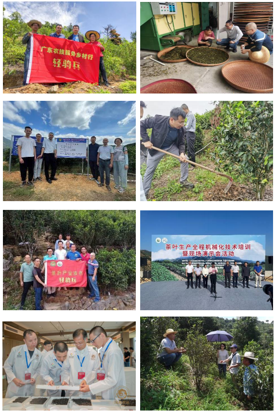 快来申报！广东启动建设首批100个“轻骑兵工作站”