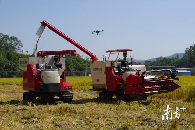 科技为农业插上“翅膀”。资料图片
