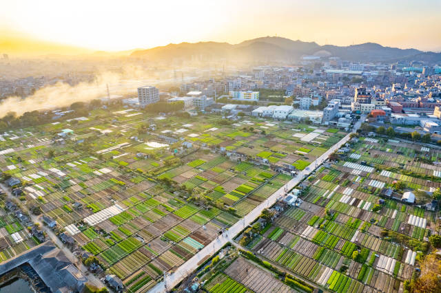 溪南镇下岱美村蔬菜种植基地