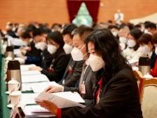 聚焦2023潮州两会 | 一年来潮州政协收到216件提案，12件提案获评年度优秀