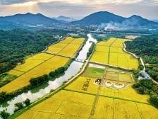 建设“农业强国”，广东该如何接招？丨一号文件系列评①