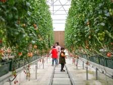 政企齐齐亮承诺、定目标、展信心，加快把县镇村短板转化为“潜力板”