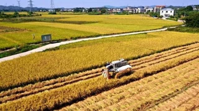 加快城乡区域协调发展，惠州这样干！