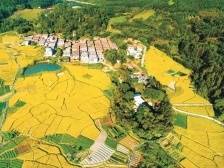 “百县千镇万村工程”如何落实？广东省直部门有这些计划