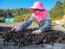 帮扶新力量|蕉岭广福镇：幸福的答案