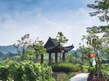 抢抓省级试点契机！惠城横沥三产融合助推乡村振兴走在湾区前列