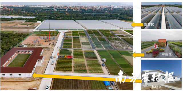 岭南特色叶菜种业创新园建设规划