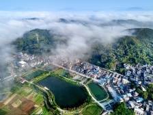 推动农村集体经济转型是改革必答题丨一号文件系列评③