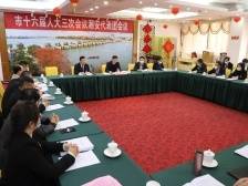 两会听“潮”丨潮安代表团：产业发展迎来机遇，县域经济激发活力