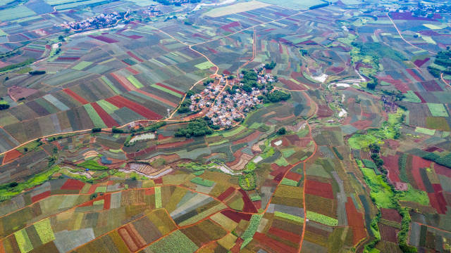 徐闻“菠萝的海”景观带。陈北跑 摄