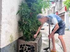 吴植桐：79岁老人义务清扫巷道18年