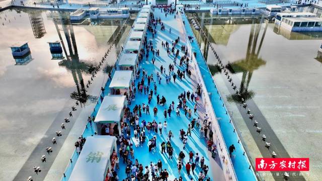  广东百名新农人展吸引众多市民驻足。