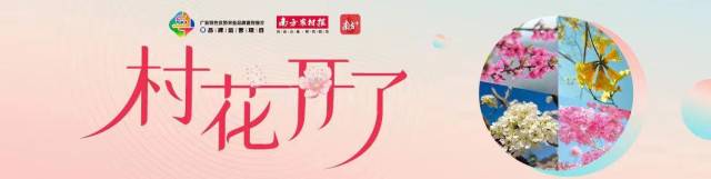 春天的仪式感拉满！200万网友打卡#村花开了#