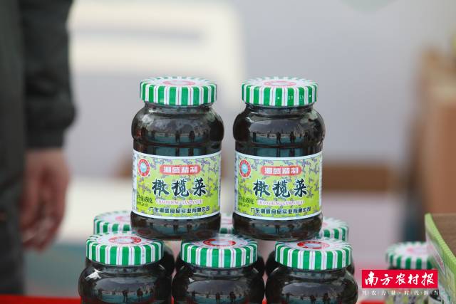 橄榄菜，下饭送粥神器