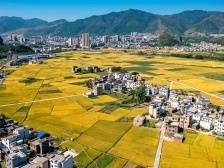 壮大镇村集体经济，促进城乡融合发展，广东需构建县镇村三个发展“引擎”