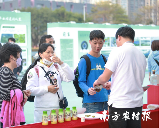 前来橄醇食品档口品尝的游客络绎不绝。