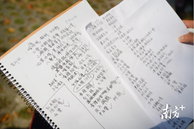 张诗仪与小伙伴一起记录观察到的鸟类。 张诗仪与小伙伴一起记录观察到的鸟类。