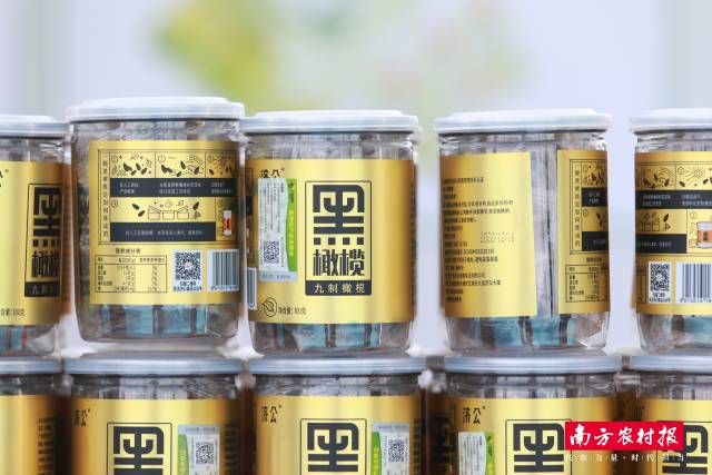 济公品牌橄榄产品