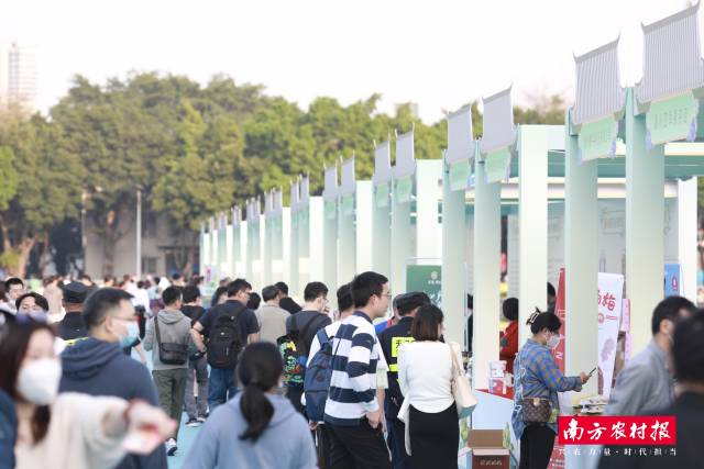 潮州橄榄文化周湾区展销活动现场，购货人流源源不断。