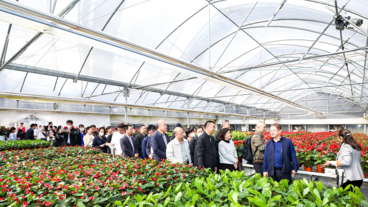 广州花城的底气在这！丨全国涉农媒体走进从化