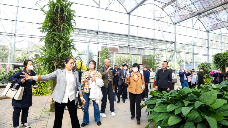 来这里看大湾区县域高质量发展新图景丨全国涉农媒体走进从化