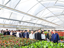 广州花城的底气在这！丨全国涉农媒体走进从化