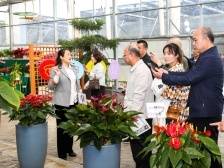 全国涉农媒体走进从化