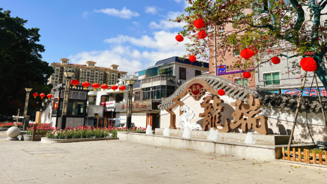 南方特写｜中山龙瑞村：决定“商改工”